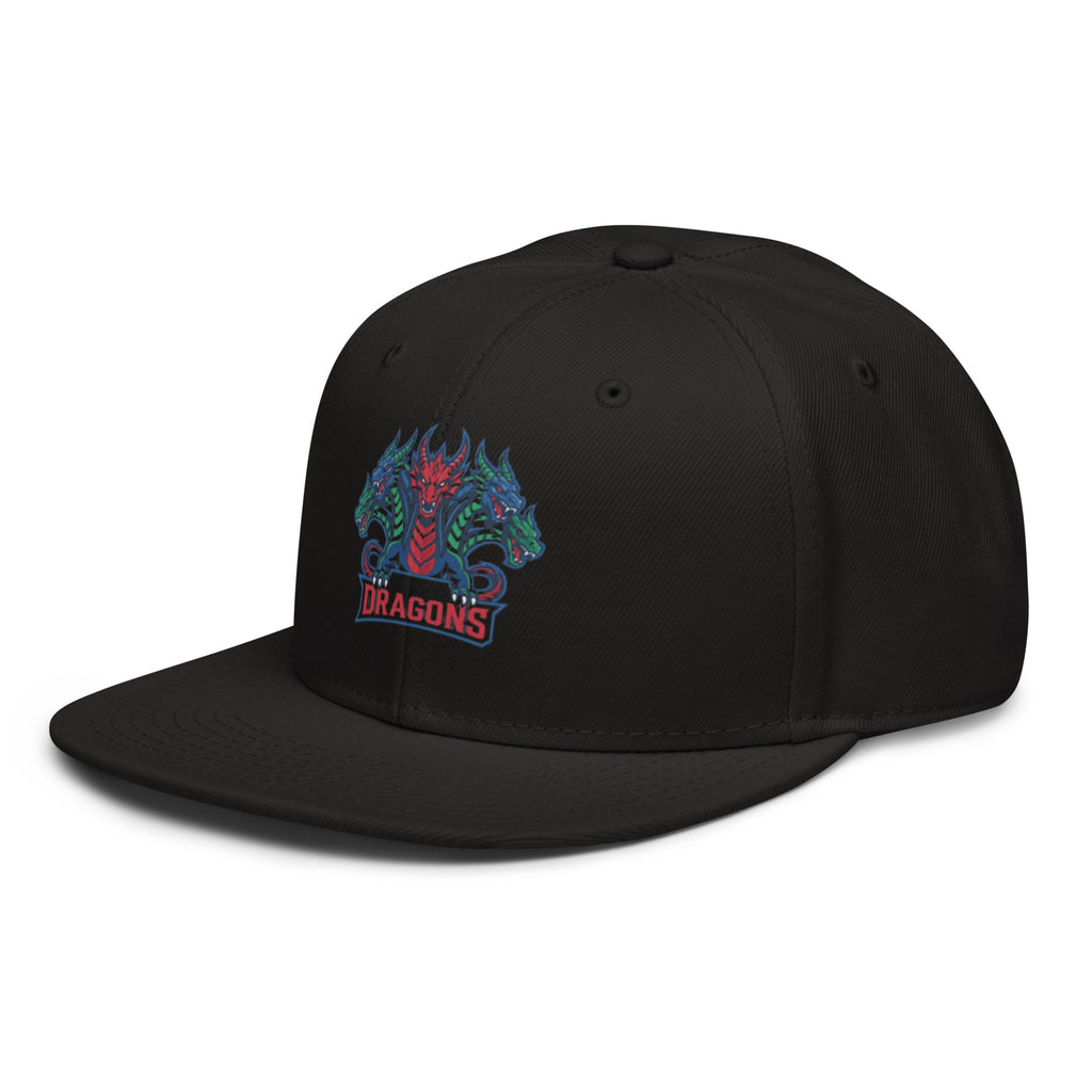 Dragons D&D Snapback Hat | Dungeons & Dragons Geek Dad Cap - Caster Coast