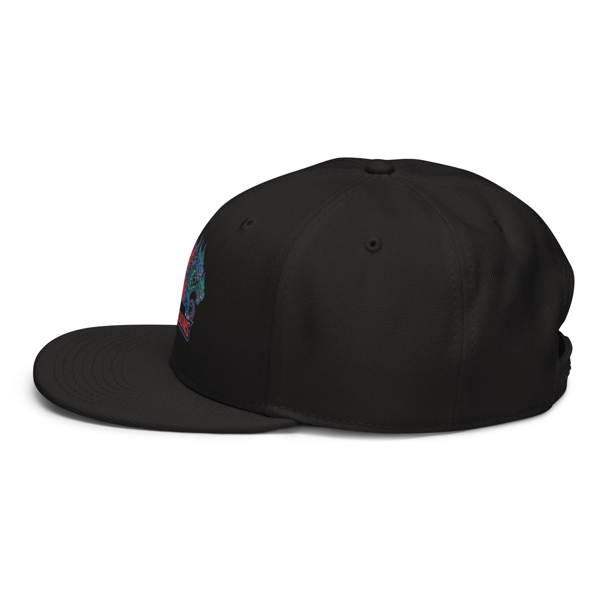 Dragons D&D Snapback Hat | Dungeons & Dragons Geek Dad Cap - Caster Coast