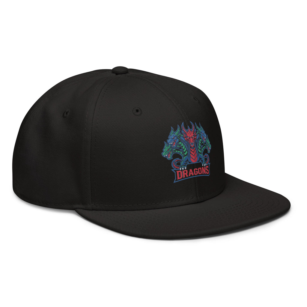 Dragons D&D Snapback Hat | Dungeons & Dragons Geek Dad Cap - Caster Coast