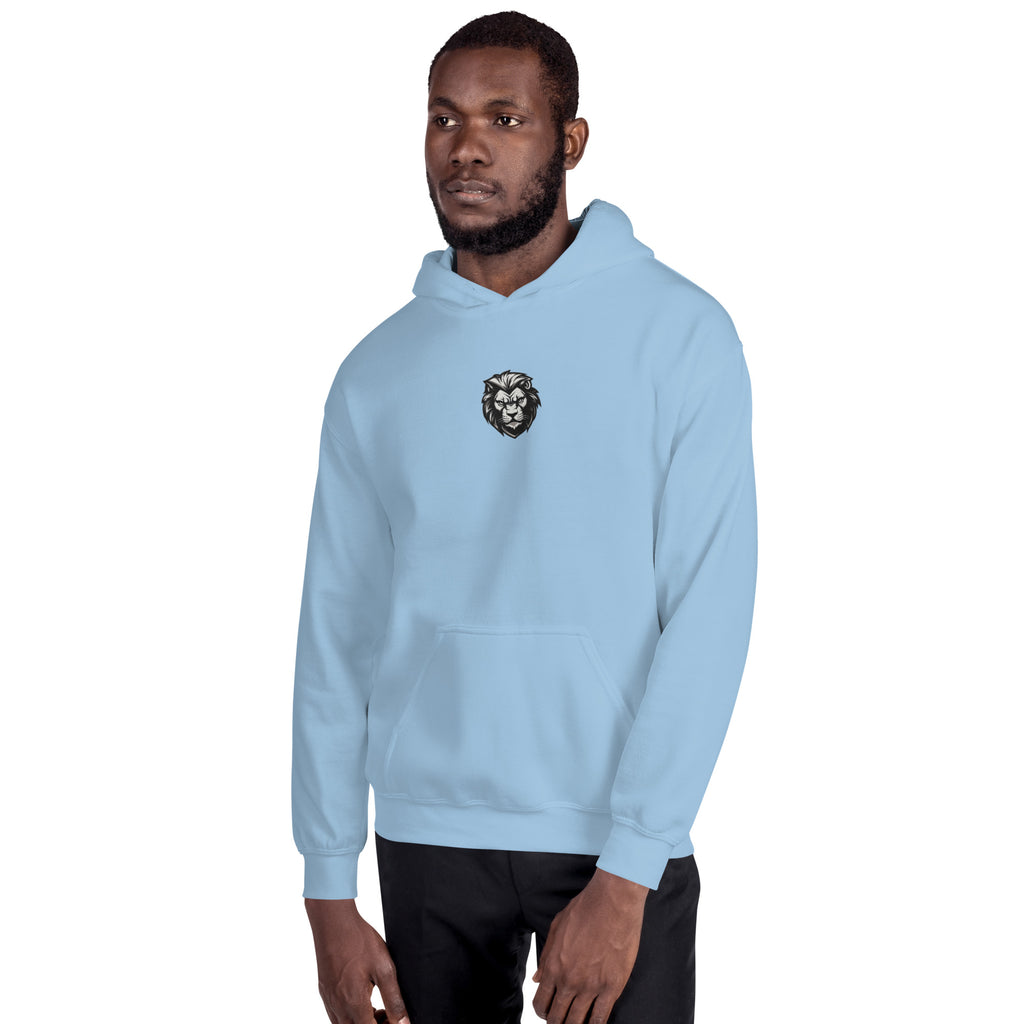 You Lion to Me? Unisex Hoodie - Caster Coast