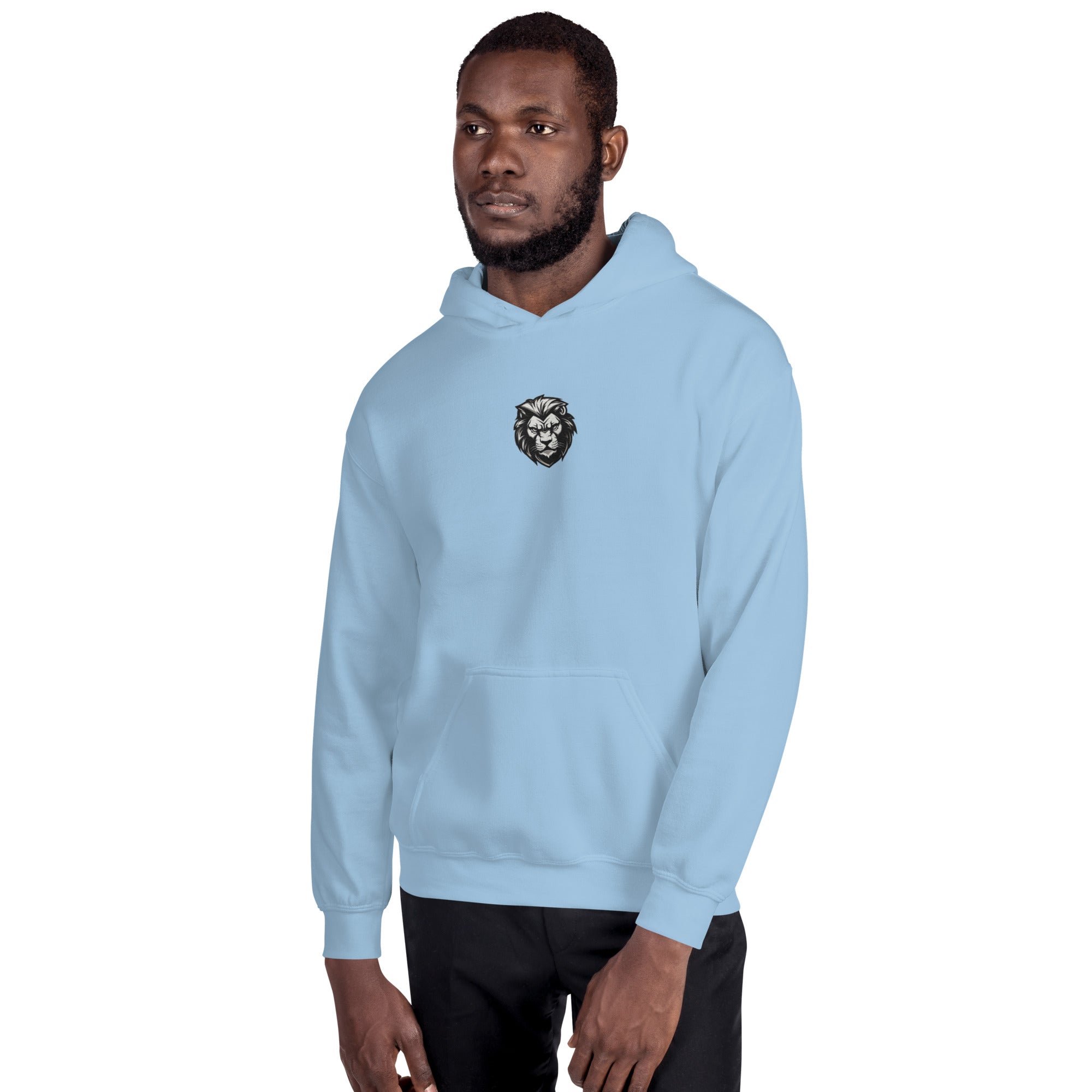 You Lion to Me? Unisex Hoodie - Caster Coast