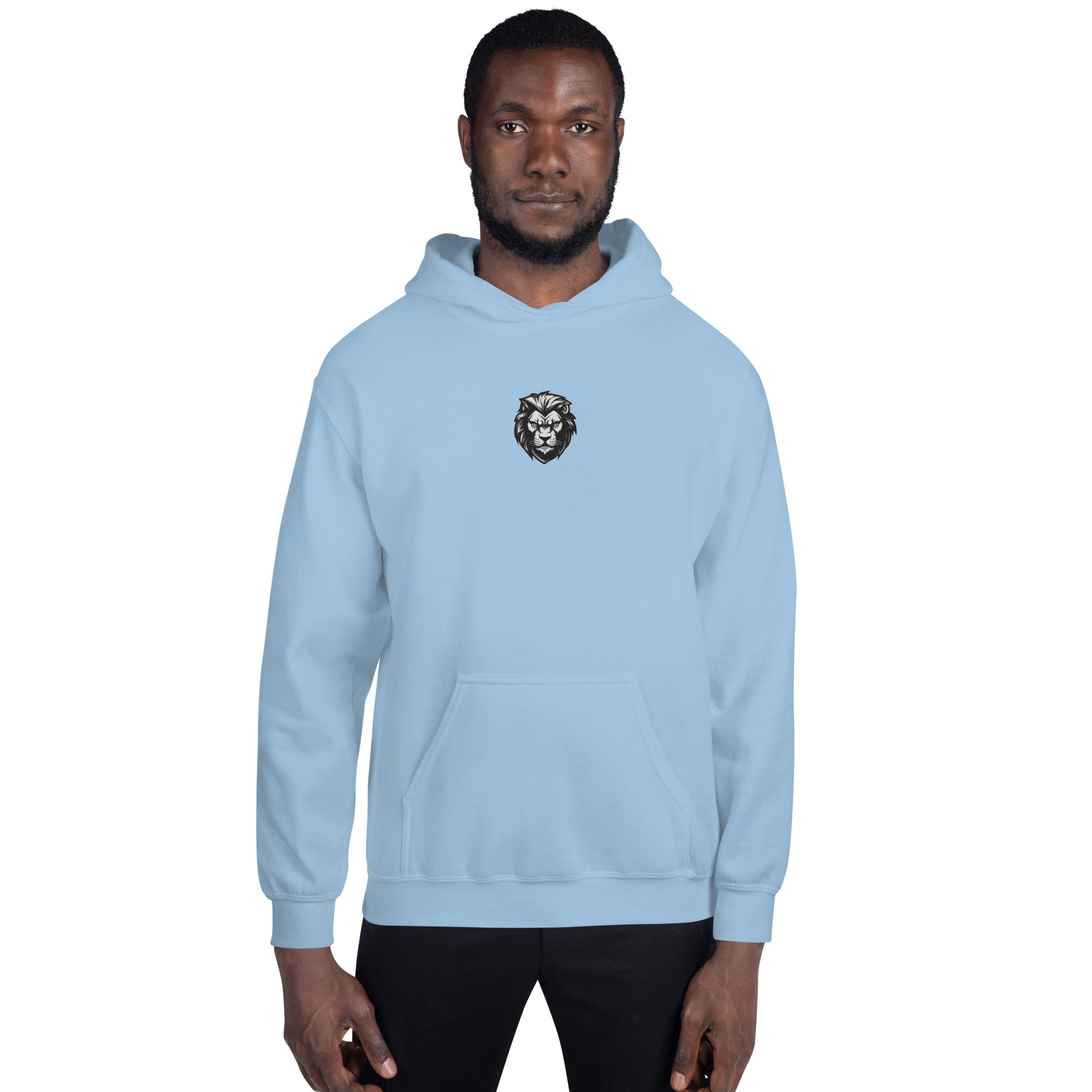 You Lion to Me? Unisex Hoodie - Caster Coast