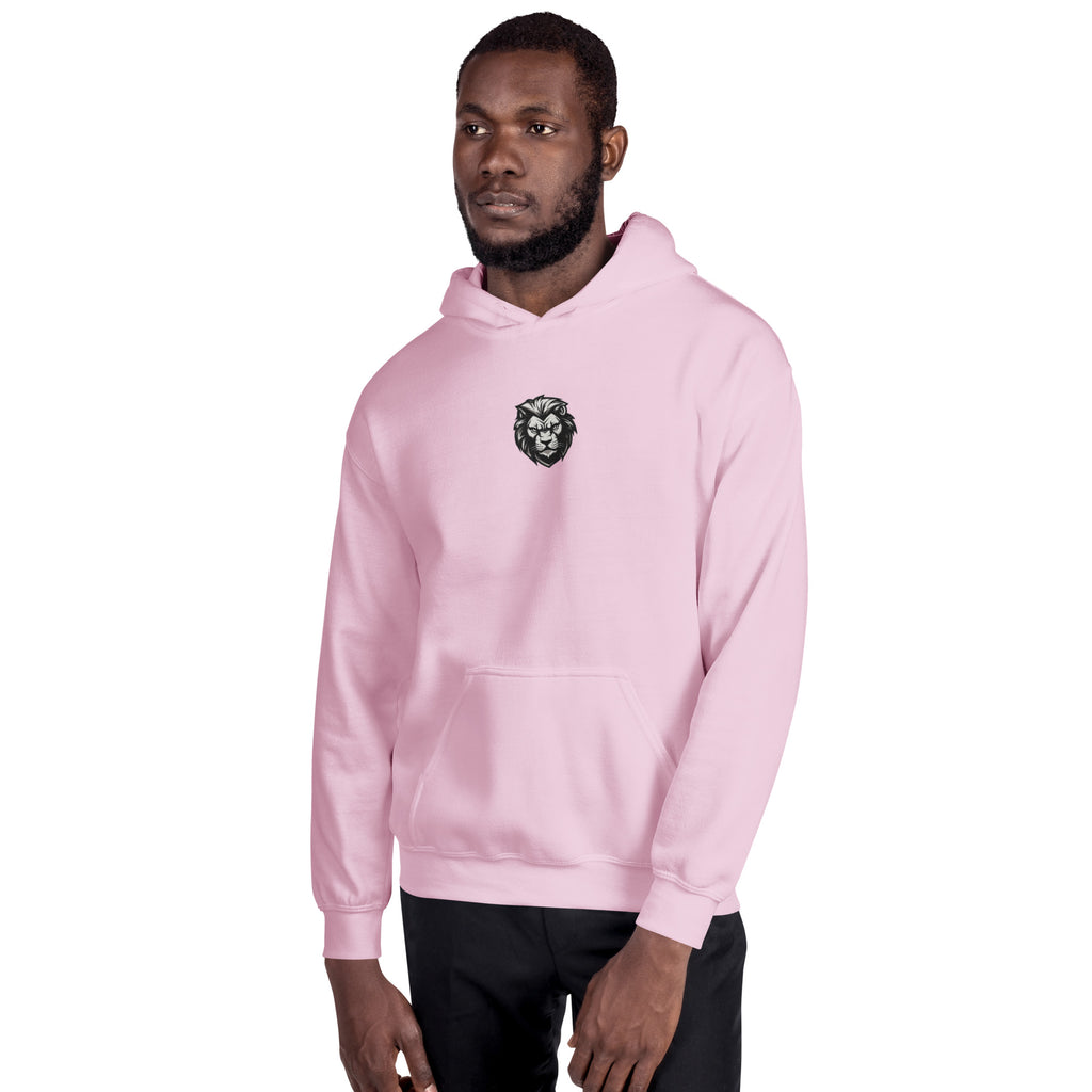 You Lion to Me? Unisex Hoodie - Caster Coast