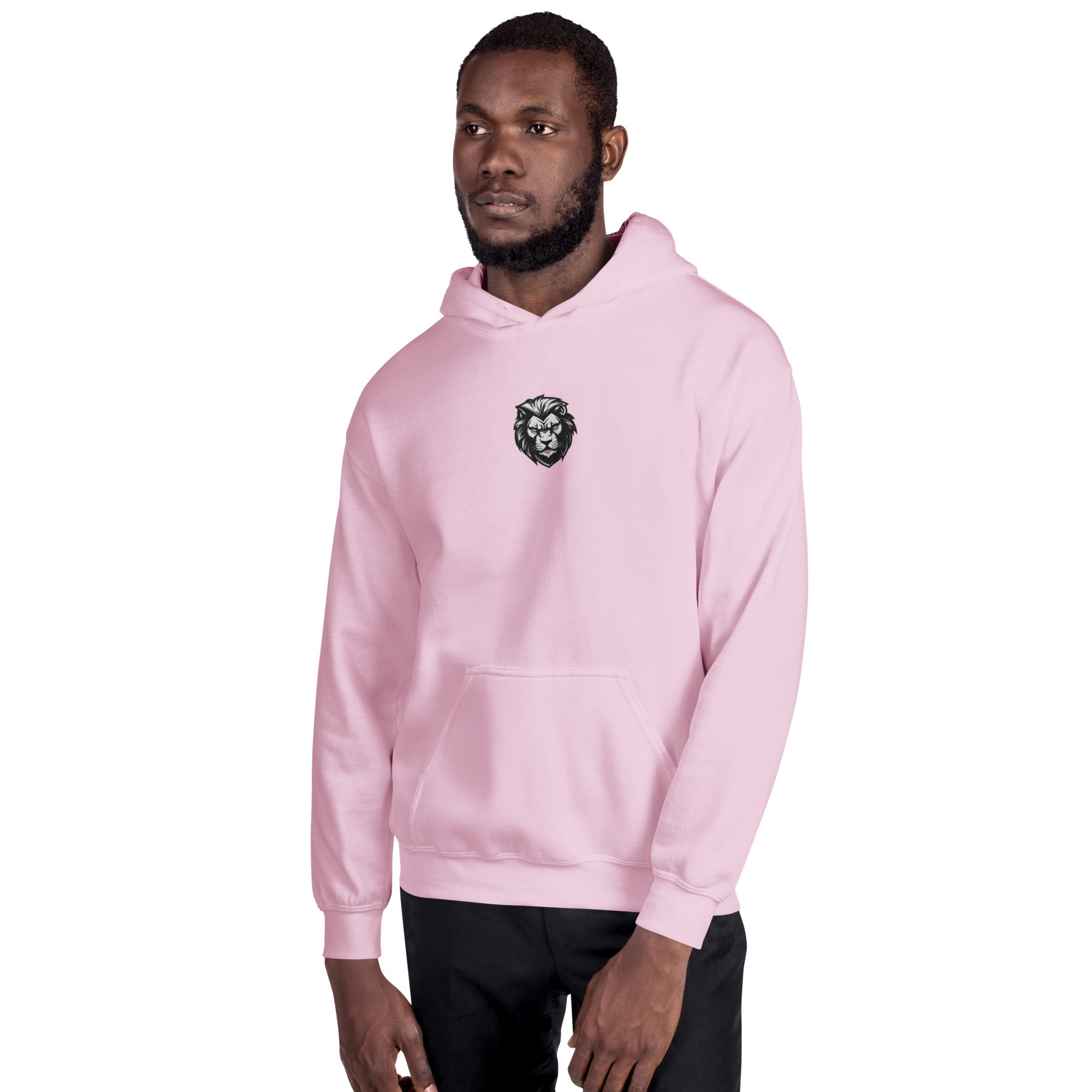 You Lion to Me? Unisex Hoodie - Caster Coast