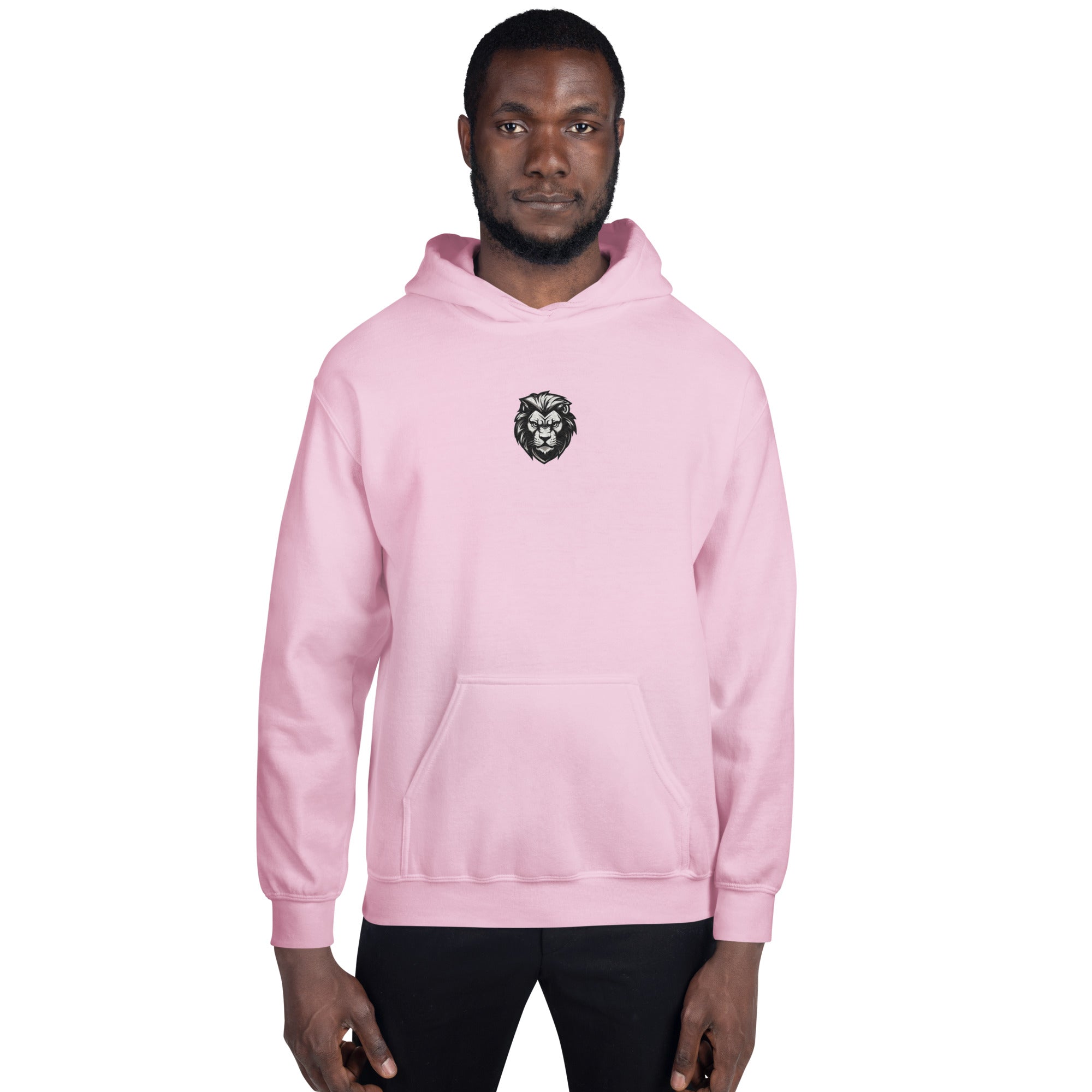 You Lion to Me? Unisex Hoodie - Caster Coast