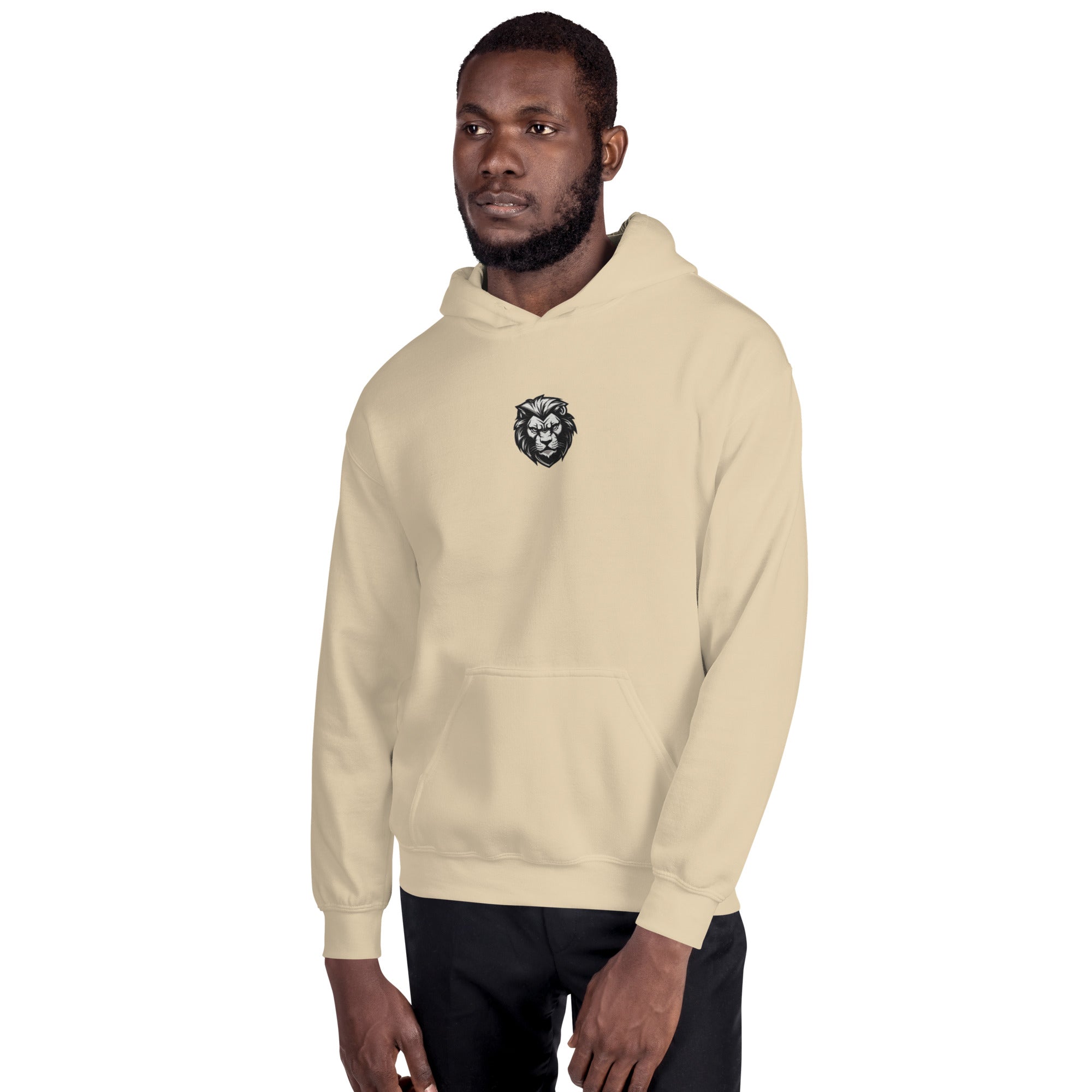 You Lion to Me? Unisex Hoodie - Caster Coast