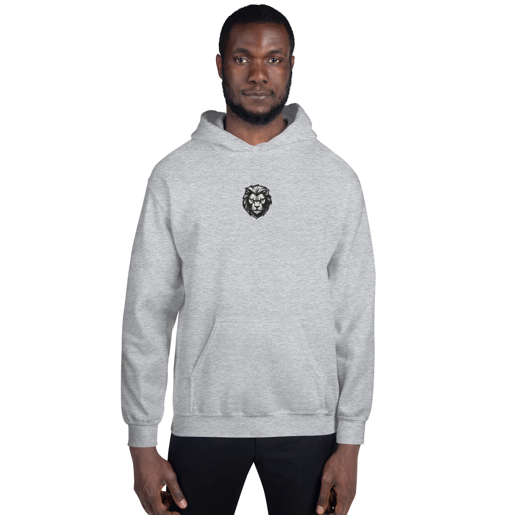 You Lion to Me? Unisex Hoodie - Caster Coast