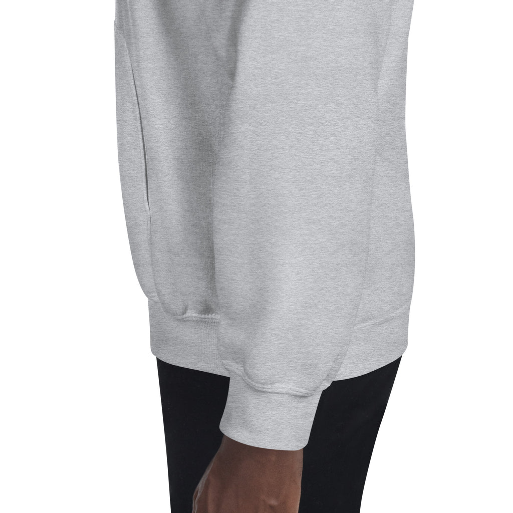 You Lion to Me? Unisex Hoodie - Caster Coast
