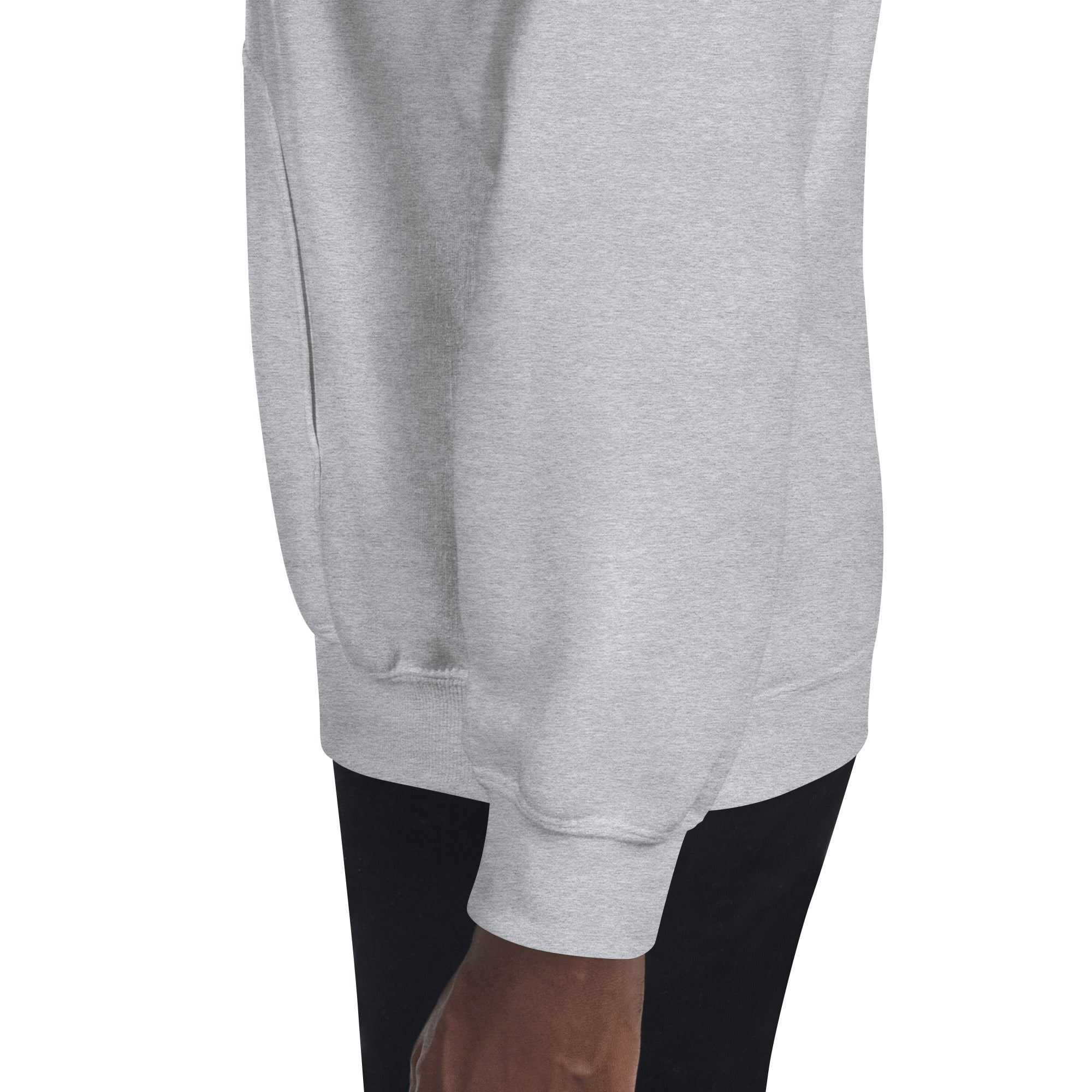 You Lion to Me? Unisex Hoodie - Caster Coast