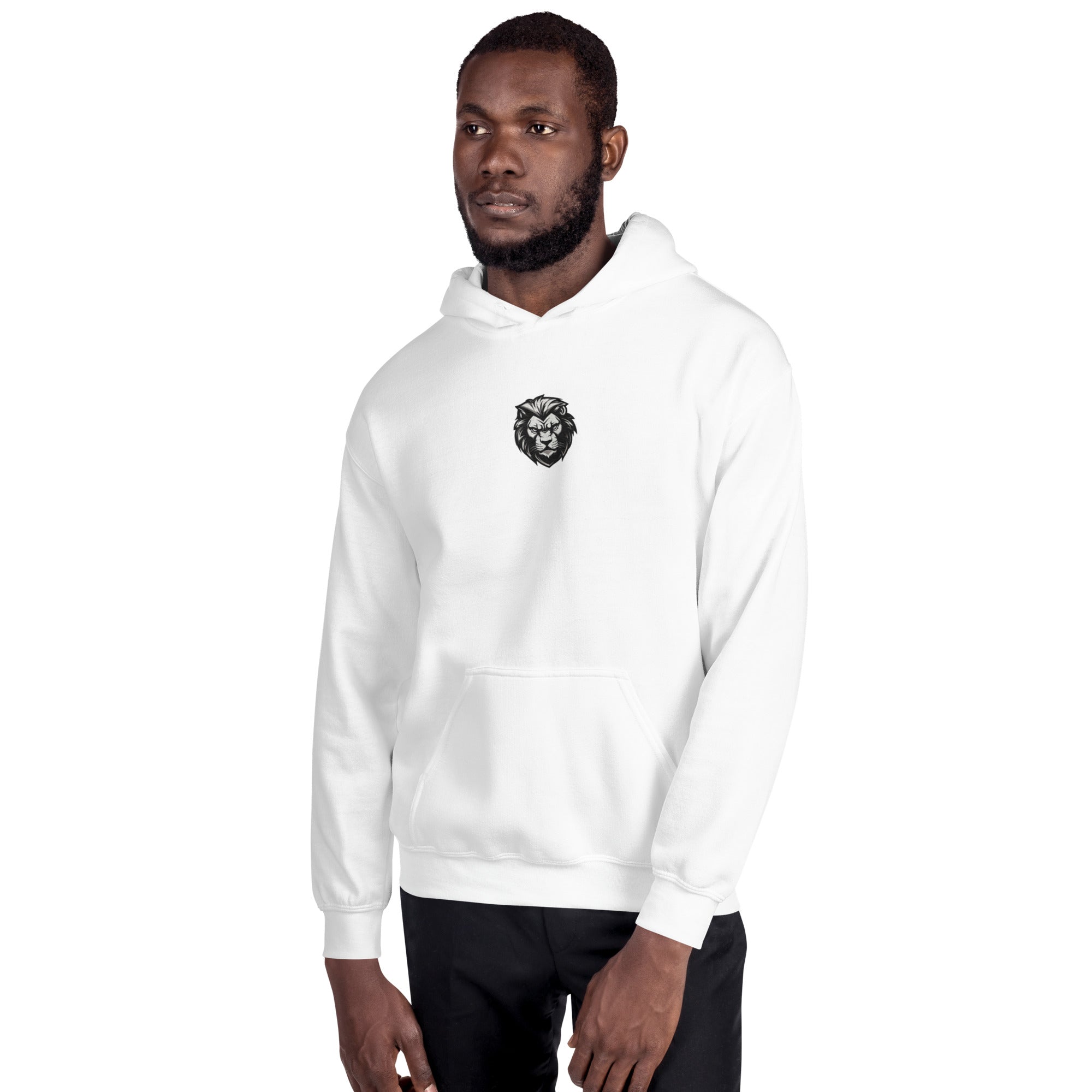 You Lion to Me? Unisex Hoodie - Caster Coast