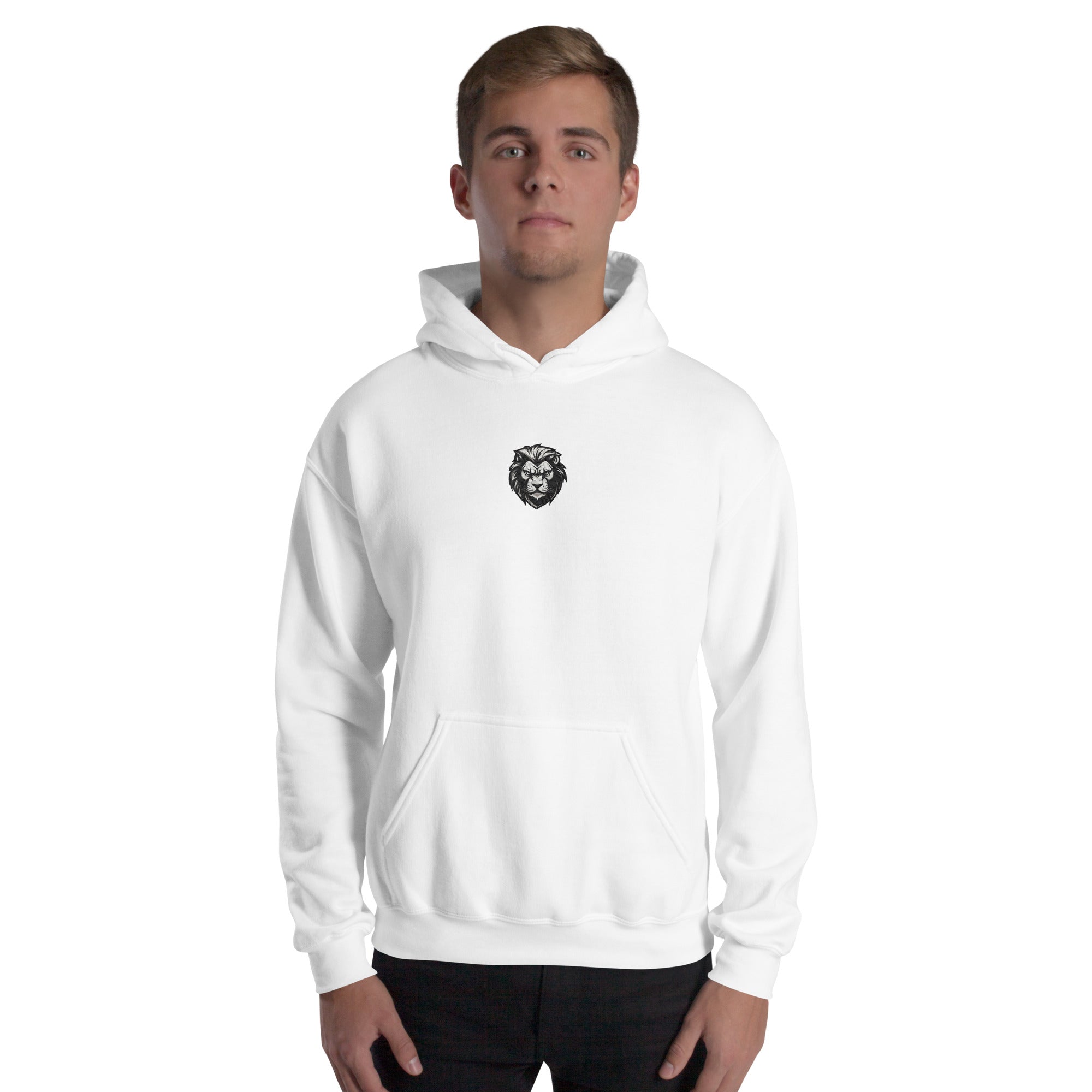 You Lion to Me? Unisex Hoodie - Caster Coast